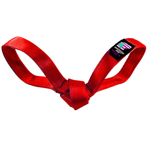Load image into Gallery viewer, LUCKY DOG $7 Love Bird Seatbelt Tug
