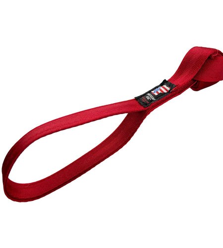 LUCKY DOG $7 Necktie Seatbelt Tug
