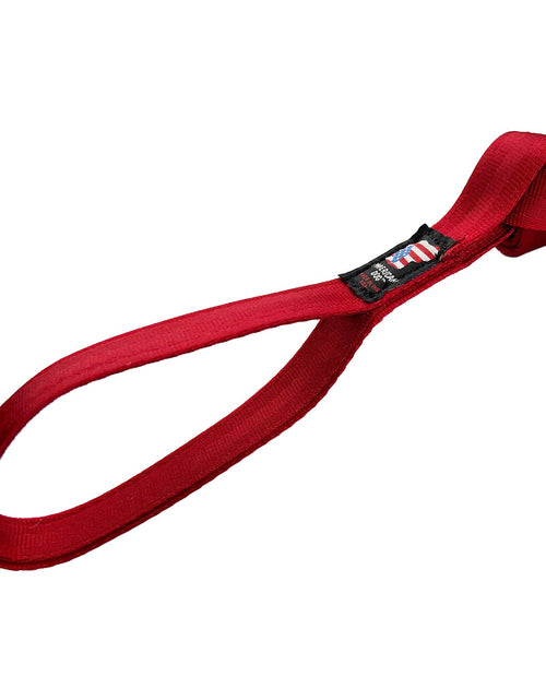 Load image into Gallery viewer, LUCKY DOG $7 Necktie Seatbelt Tug
