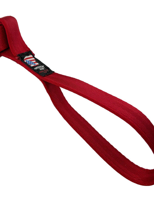 Load image into Gallery viewer, LUCKY DOG $7 Necktie Seatbelt Tug
