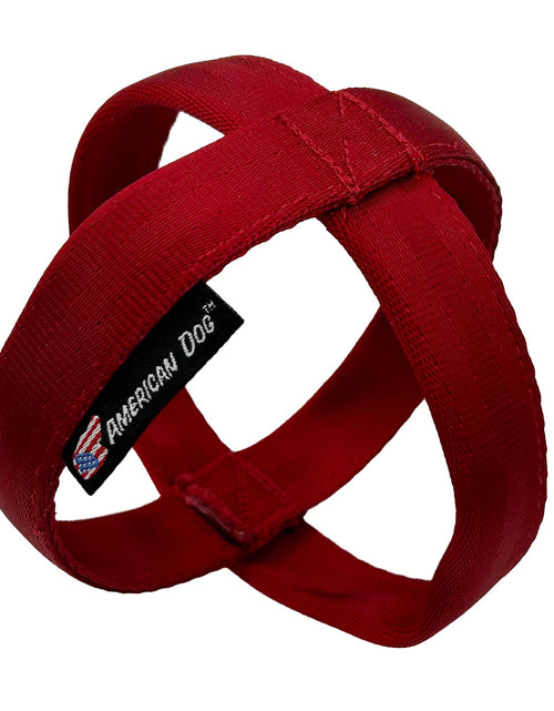 Load image into Gallery viewer, LUCKY DOG $7 Ornament Seatbelt
