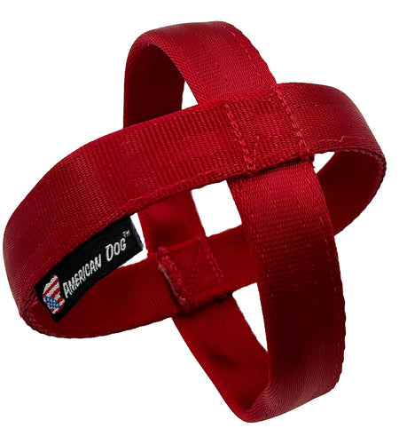 LUCKY DOG $7 Ornament Seatbelt