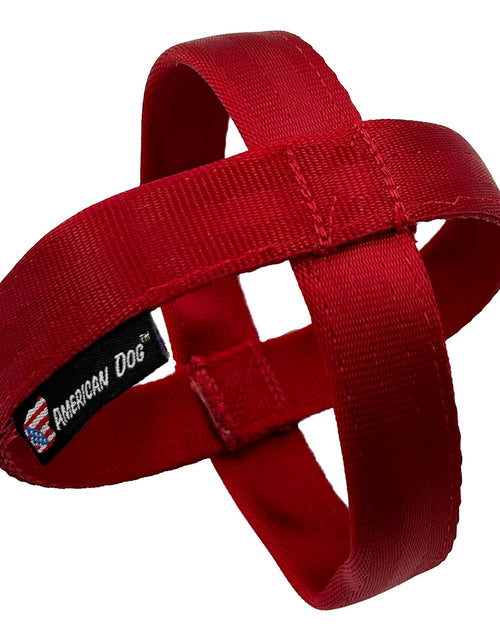 Load image into Gallery viewer, LUCKY DOG $7 Ornament Seatbelt
