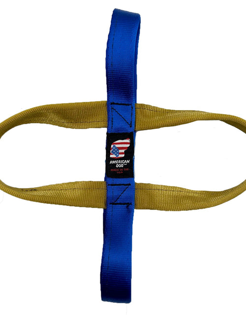 Load image into Gallery viewer, LUCKY DOG $7 T-n-T Seatbelt Tug
