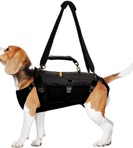 [LIFETIME WARRANTY!] NeoAlly 5-in-1 Sturdy Dog Lift Harness Full Body Support