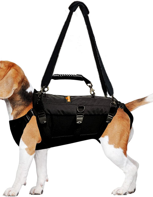 Load image into Gallery viewer, [LIFETIME WARRANTY!] NeoAlly 5-in-1 Sturdy Dog Lift Harness Full Body Support
