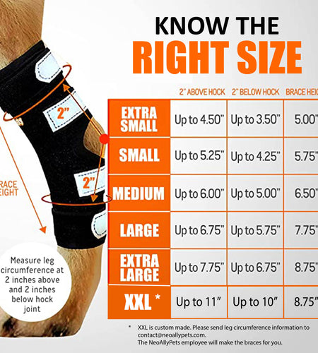 NeoAlly Dog Rear Leg Hock Brace with Metal Spring Strips for Large Dogs [Long Version] (Pair)