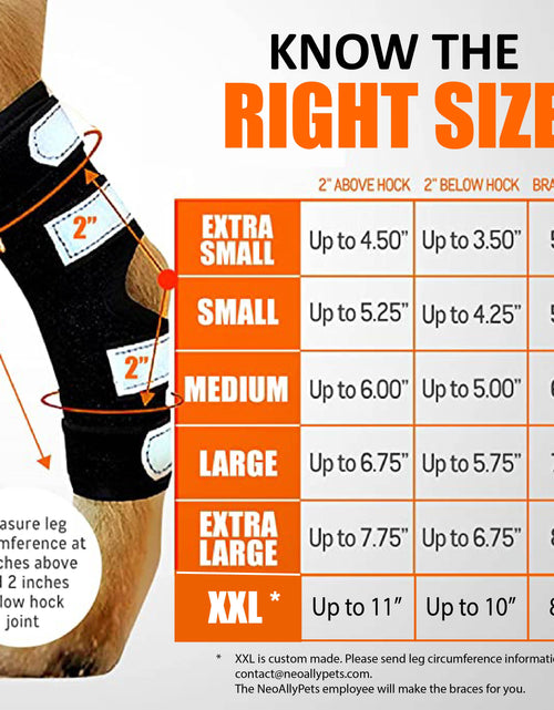 Load image into Gallery viewer, NeoAlly Dog Rear Leg Hock Brace with Metal Spring Strips for Large Dogs [Long Version] (Pair)

