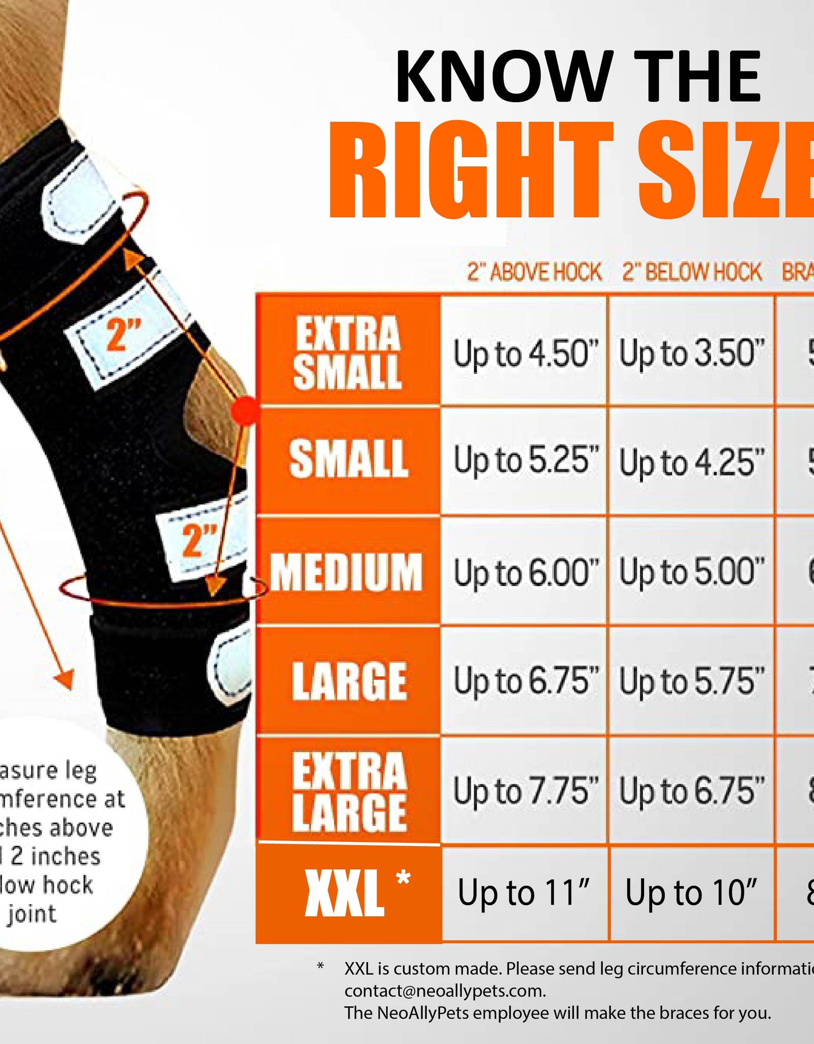 NeoAlly 3-in-1 Long Rear Leg Hock Brace - Rigid and Spring Inserts | Safety Reflective Straps [Long Version] (Pair)