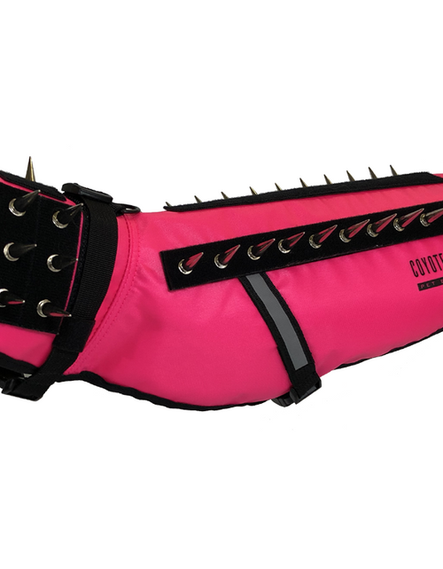 Load image into Gallery viewer, CoyoteVest
