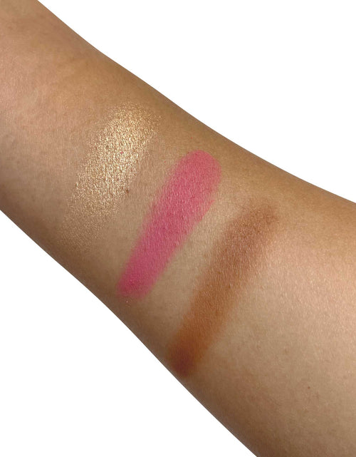 Load image into Gallery viewer, Pro Cheek Palette - Pop
