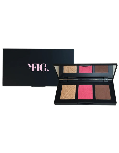Load image into Gallery viewer, Pro Cheek Palette - Pop
