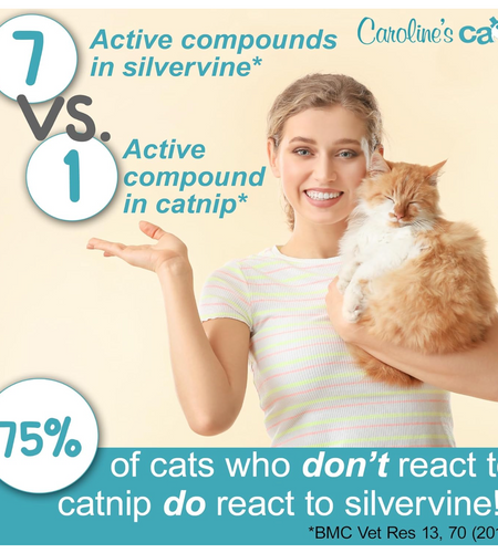 Caroline's Cats Silvervine Powder Packets for Cat Toys - Gall Fruit Refill Pouches More Potent Than Catnip Replacements for Flapping Bird, Flopping Fish, and More