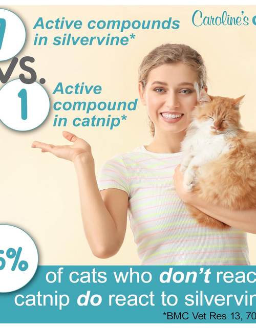 Load image into Gallery viewer, Caroline's Cats Silvervine Powder Packets for Cat Toys - Gall Fruit Refill Pouches More Potent Than Catnip Replacements for Flapping Bird, Flopping Fish, and More
