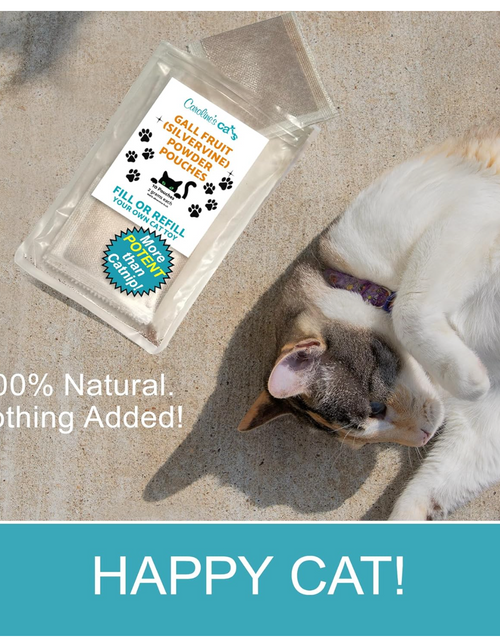 Load image into Gallery viewer, Caroline's Cats Silvervine Powder Packets for Cat Toys - Gall Fruit Refill Pouches More Potent Than Catnip Replacements for Flapping Bird, Flopping Fish, and More
