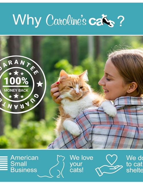 Load image into Gallery viewer, Caroline's Cats Silvervine Powder Packets for Cat Toys - Gall Fruit Refill Pouches More Potent Than Catnip Replacements for Flapping Bird, Flopping Fish, and More
