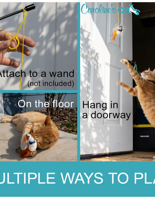 Load image into Gallery viewer, Caroline's Cats Plush Chirping Bird Cat Toy on Elastic String with Doorway Hanger - No Flimsy Suction Cups; Real Electronic Avian Sounds

