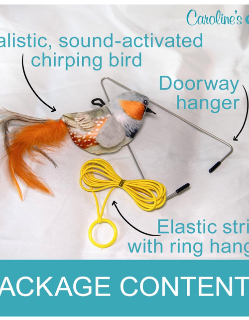 Load image into Gallery viewer, Caroline's Cats Plush Chirping Bird Cat Toy on Elastic String with Doorway Hanger - No Flimsy Suction Cups; Real Electronic Avian Sounds
