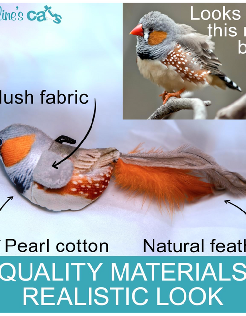 Load image into Gallery viewer, Caroline's Cats Plush Chirping Bird Cat Toy on Elastic String with Doorway Hanger - No Flimsy Suction Cups; Real Electronic Avian Sounds
