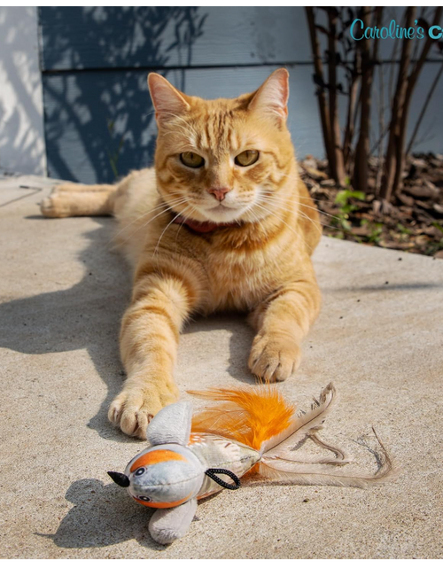 Load image into Gallery viewer, Caroline's Cats Plush Chirping Bird Cat Toy on Elastic String with Doorway Hanger - No Flimsy Suction Cups; Real Electronic Avian Sounds
