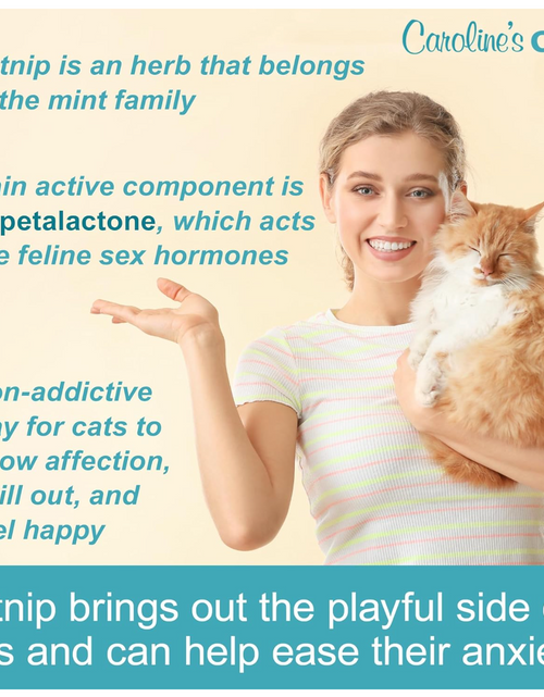 Load image into Gallery viewer, Caroline's Cats Organic Catnip Packets for Cat Toys 2.0 – More Potent Refill Pouches for Flapping Bird, Flopping Fish, and Others, 10 Tea Bags
