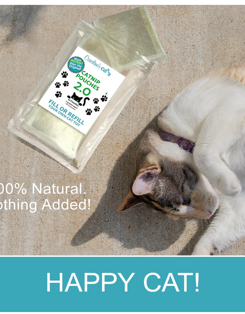 Load image into Gallery viewer, Caroline's Cats Organic Catnip Packets for Cat Toys 2.0 – More Potent Refill Pouches for Flapping Bird, Flopping Fish, and Others, 10 Tea Bags
