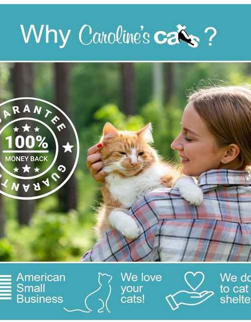 Load image into Gallery viewer, Caroline's Cats Organic Catnip Packets for Cat Toys 2.0 – More Potent Refill Pouches for Flapping Bird, Flopping Fish, and Others, 10 Tea Bags
