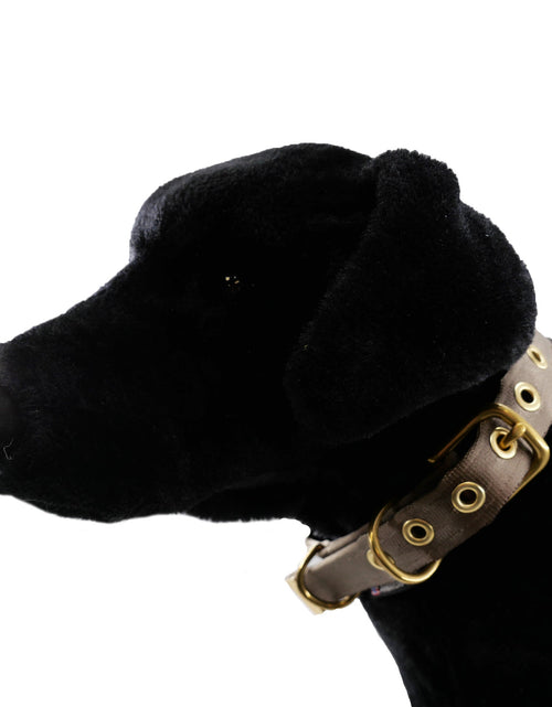 Load image into Gallery viewer, Collars Seatbelt
