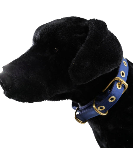 Collars Seatbelt