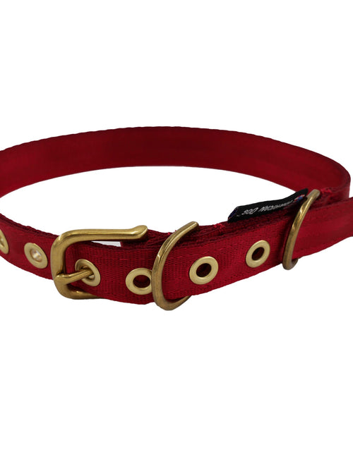 Load image into Gallery viewer, Collars Seatbelt
