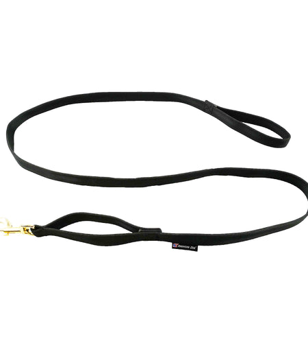 Leashes Seatbelt
