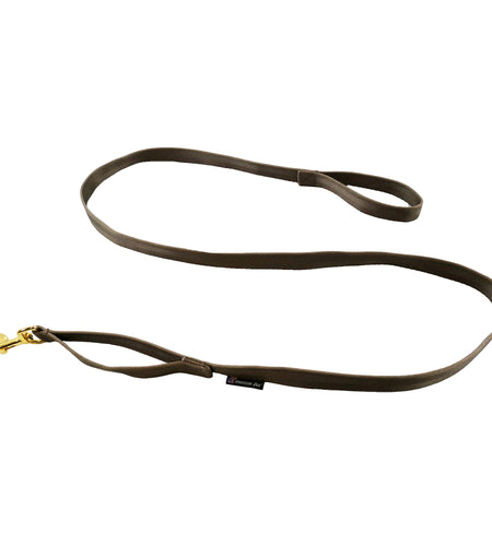 Leashes Seatbelt