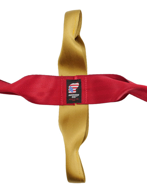 Load image into Gallery viewer, Seatbelt Quad Flopper

