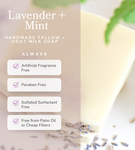 Lavender + Mint Handmade Tallow and Goat Milk Soap Bar