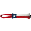 Texas Flag