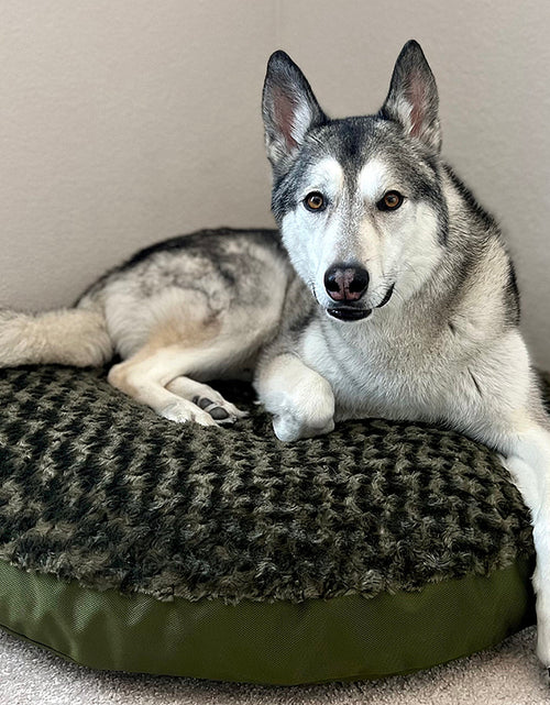 Load image into Gallery viewer, Dog Bed - Round  Furvana™
