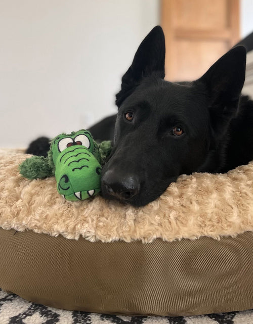 Load image into Gallery viewer, Dog Bed - Round  Furvana™
