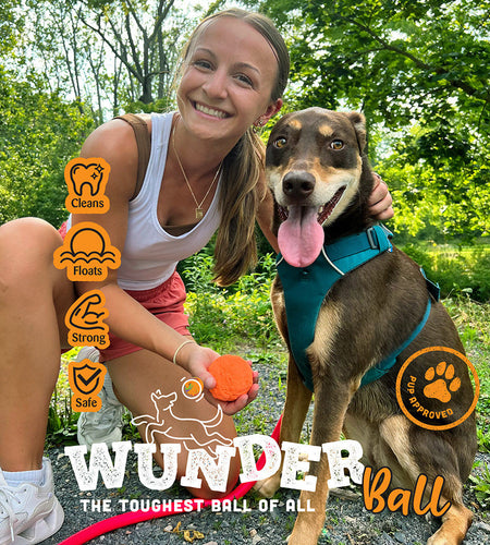 WUNDERball - Best Fetch Toy