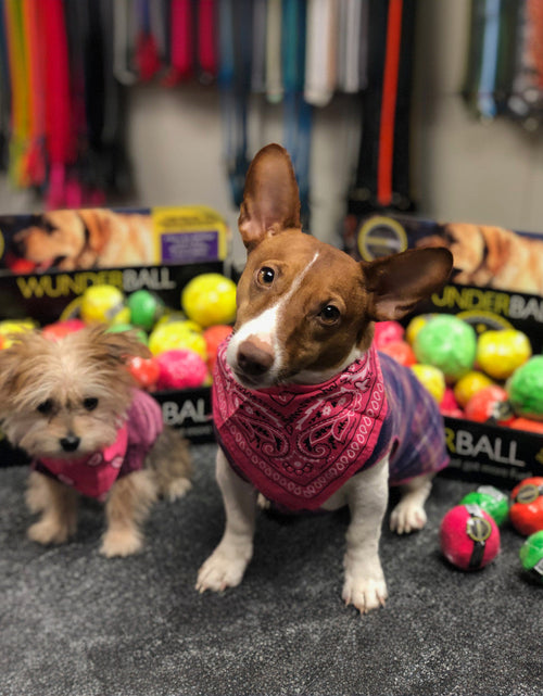 Load image into Gallery viewer, WUNDERball - Best Fetch Toy
