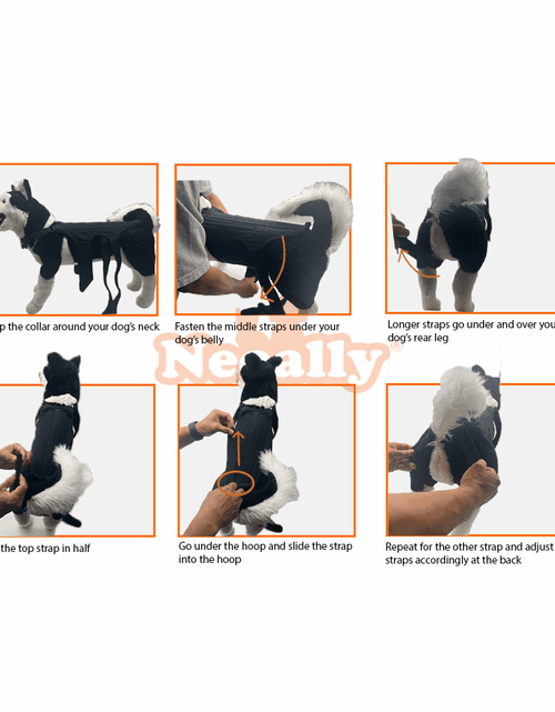 Load image into Gallery viewer, NeoAlly Dog Back Brace for Dogs with Inserts for Extra Support

