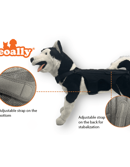 Load image into Gallery viewer, NeoAlly Dog Back Brace for Dogs with Inserts for Extra Support
