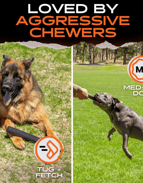 Load image into Gallery viewer, Chew Stick
