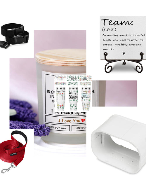 Load image into Gallery viewer, Manifest Lot - MSRP $258.48 - Vitamins &amp; Minerals/Hair Acc - TAEDIN Dog - 17 Qty
