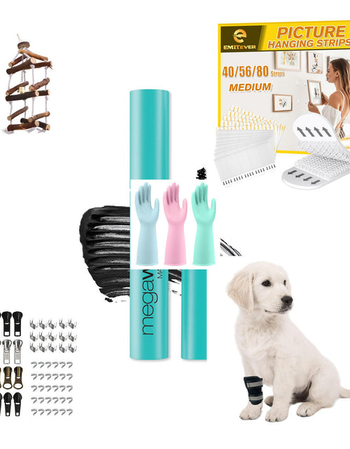 Load image into Gallery viewer, Manifest Lot - MSRP $258.48 - Vitamins &amp; Minerals/Hair Acc - TAEDIN Dog - 17 Qty
