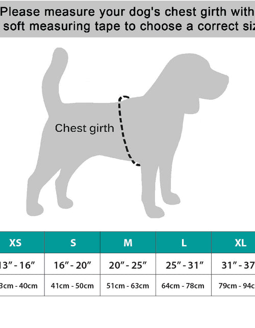Load image into Gallery viewer, NeoAlly Upgraded Dog Surgical Recovery Vest for Dogs and Cats
