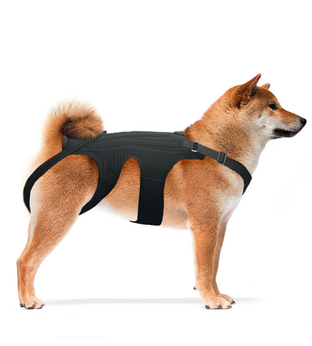 NeoAlly Dog Back Brace for Dogs with Inserts for Extra Support