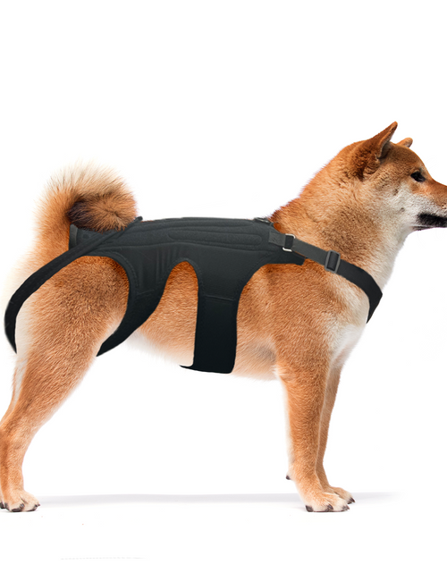 Load image into Gallery viewer, NeoAlly Dog Back Brace for Dogs with Inserts for Extra Support
