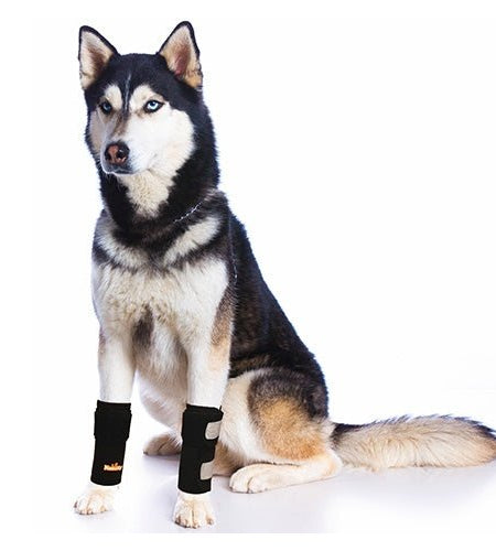 NeoAlly Dog Front Leg Braces: Enhance Safety with Reflective Straps (Pair)