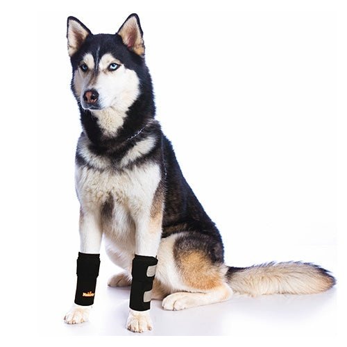 Load image into Gallery viewer, NeoAlly Dog Front Leg Braces: Enhance Safety with Reflective Straps (Pair)
