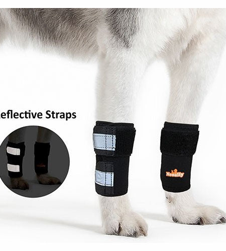 NeoAlly Dog Front Leg Braces: Enhance Safety with Reflective Straps (Pair)